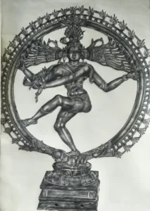 suchi-dhar-14