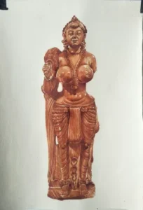 suchi-dhar-16